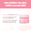 Kem Dưỡng Trị Nám, Trắng Da Ban Đêm Wskin Extreme White Cream